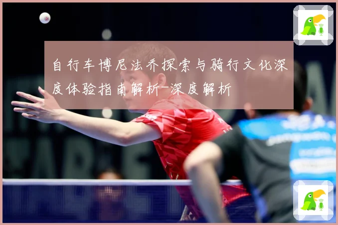 自行车博尼法乔探索与骑行文化深度体验指南解析-深度解析