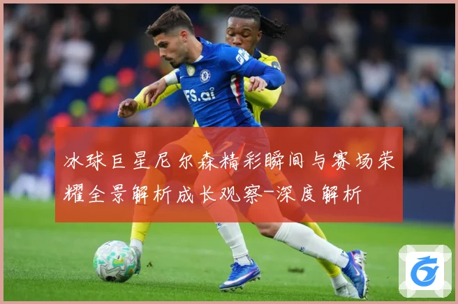 冰球巨星尼尔森精彩瞬间与赛场荣耀全景解析成长观察-深度解析