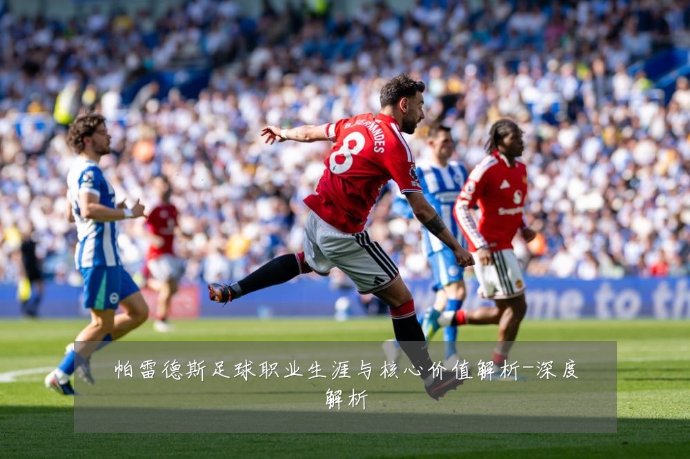 帕雷德斯足球职业生涯与核心价值解析-深度解析